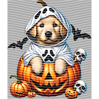 Halloween-WS 1781